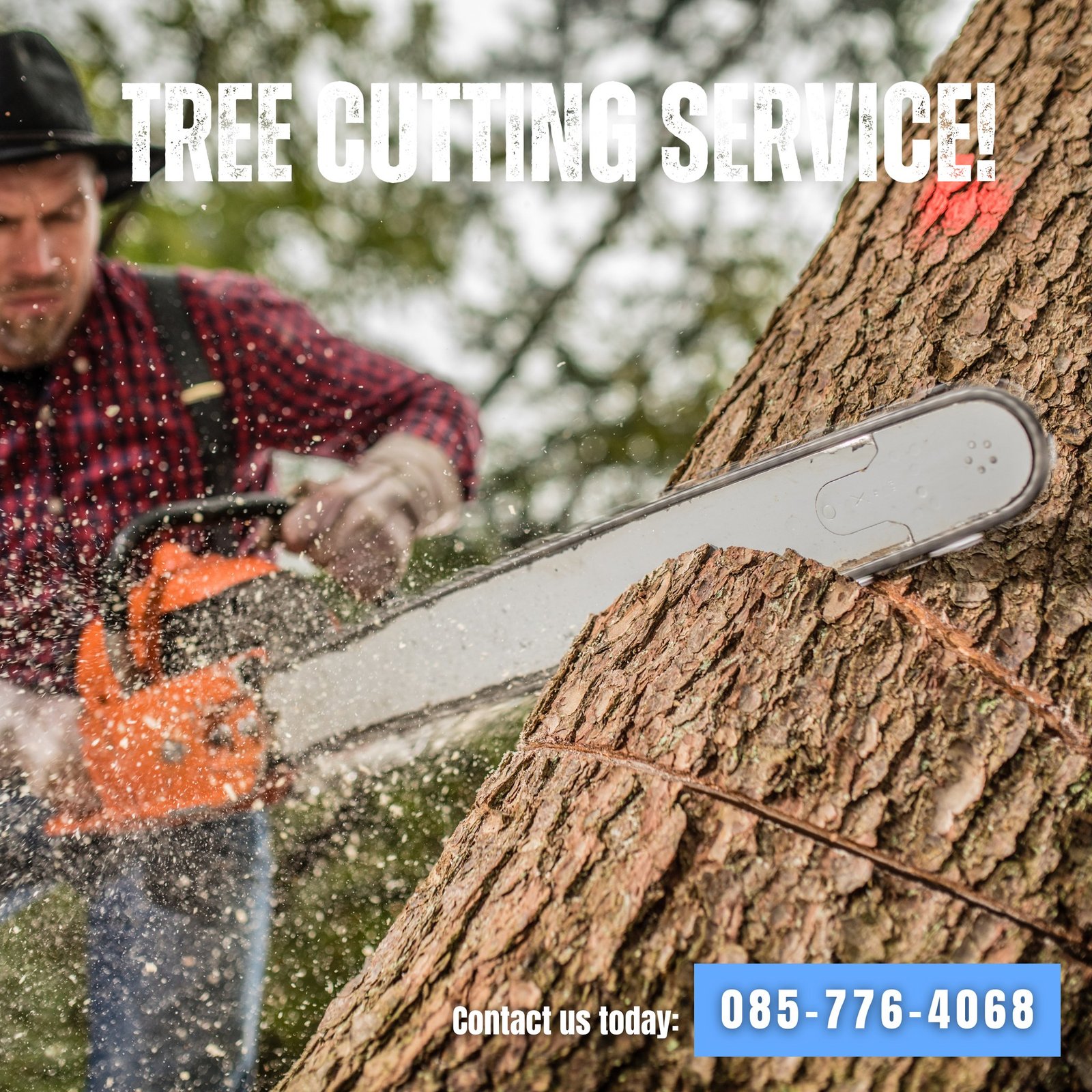 Cleaning project by All Surface Cleaning