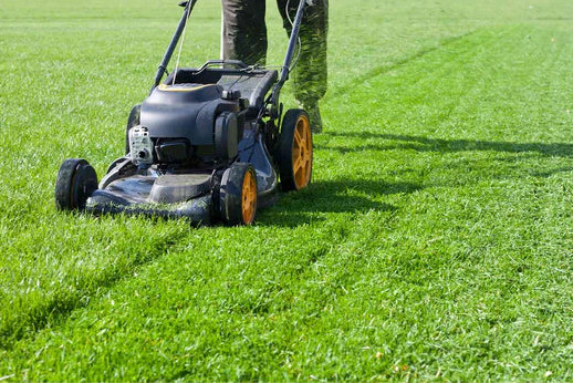 Grass cutting by All Surface Cleaning