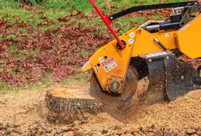 Stump grinding service by All Surface Cleaning in Dublin