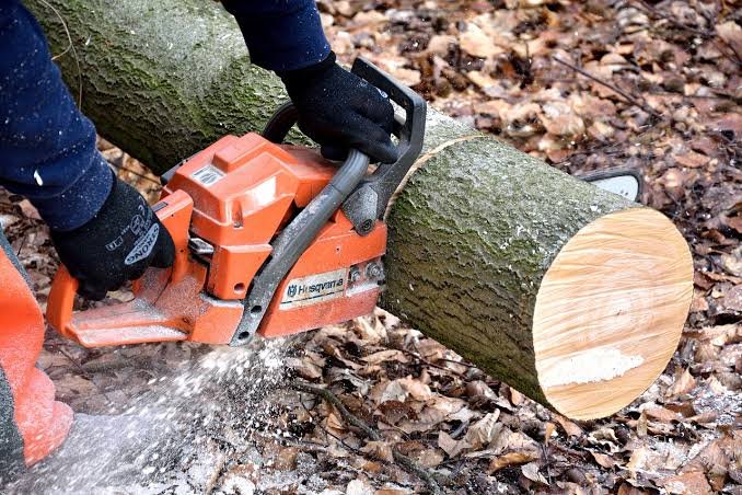 Tree cutting and trimming service by All Surface Cleaning in Dublin